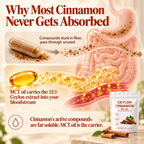 Why most cinnamon never gets absorbed